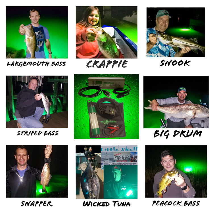 Ultimate Guide to Using Submersible LED Lights for Fishing and More
