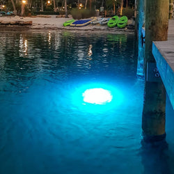 Neptune Pro LED Underwater Dock Lights