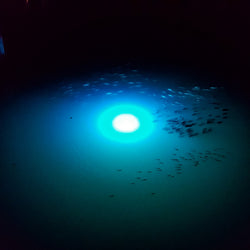 Brightest Underwater LED Dock Lights Blue Green