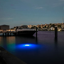 IllumiSea's Apollo Underwater Lighting System is the best marine light on the Market. Apollo Underwater Aquatic Light. Best Underwater Fishing Light on the Market.  Portable and very easy to use. Marine LED Lights, LED Fishing Light, LED Underwater Lights, Underwater Pool Lights, Underwater Pond Lights, Green Fishing Light, Underwater Fishing Light, LED Dock Light